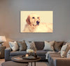 Cute Dog Canvas Print