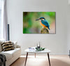 Bird Canvas Print