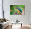 Bird Canvas Print