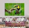 Toucan Canvas Print