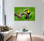 Toucan Canvas Print