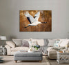 Crane Bird Canvas Print