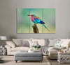 African Bird Canvas Print