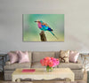 African Bird Canvas Print