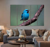 Blue Bird Canvas Print