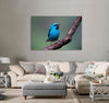 Blue Bird Canvas Print