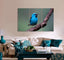 Blue Bird Canvas Print