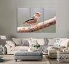 Orange Head Bird Canvas Print