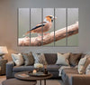 Orange Head Bird Canvas Print