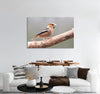 Orange Head Bird Canvas Print