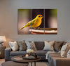 Yellow Bird Canvas Print