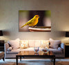 Yellow Bird Canvas Print