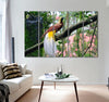 Bird of Paradise Canvas Print