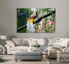 Bird of Paradise Canvas Print