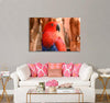 Female Parrot Canvas Print