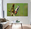 Woodpecker Canvas Print