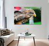 Bird of Prey Canvas Print