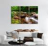 Peaceful River Canvas Print