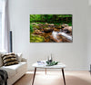 Peaceful River Canvas Print