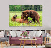 Grizzly Playing Together Canvas Print