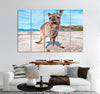 Kangaroo Canvas Print