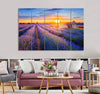 Purple Lavender Canvas Print