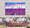 Lavender Field Canvas Print