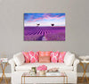 Lavender Field Canvas Print