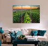 Champagne Region Canvas Print