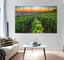 Champagne Region Canvas Print