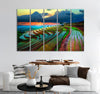 Terraced Field Canvas Print