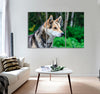 Norwegian Husky Canvas Print