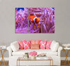 A Clown Fish Canvas Print