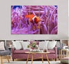 A Clown Fish Canvas Print