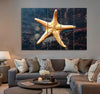 Ocean Star Canvas Print