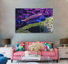 Wonderful Colorful Fish Canvas Print