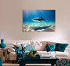 Black Shark Canvas Print