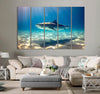 Black Shark Canvas Print