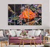 Fish and Sea Plant Canvas Print