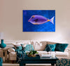 Blue and Orange Fish Canvas Print