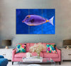 Blue and Orange Fish Canvas Print