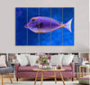 Blue and Orange Fish Canvas Print