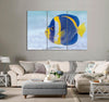 Blue & Yellow Fish Canvas Print