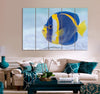 Blue & Yellow Fish Canvas Print