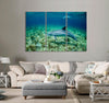 Pair of Dolphin Canvas Print