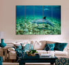 Pair of Dolphin Canvas Print