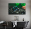 Beautiful Fish Canvas Print