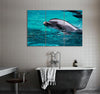 Grey Dolphin Canvas Print