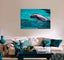 Grey Dolphin Canvas Print