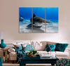 Tiger Shark Canvas Print